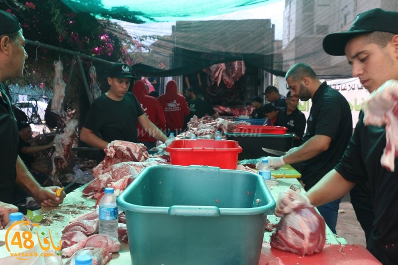 lod8om ada73y (108).JPG